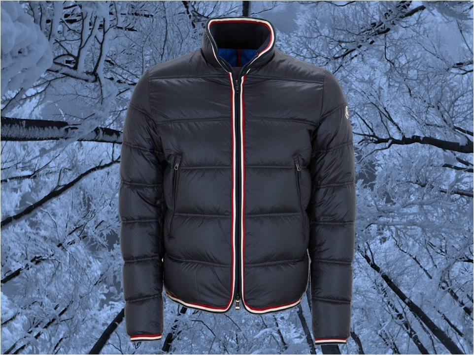 Moncler Amiez jacket AW 2015