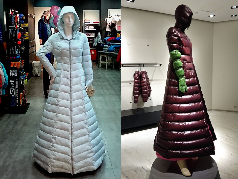 Cold Wear vs Moncler