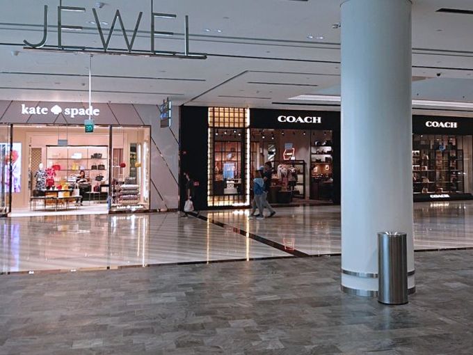 Kate Spade &amp; Coach OP