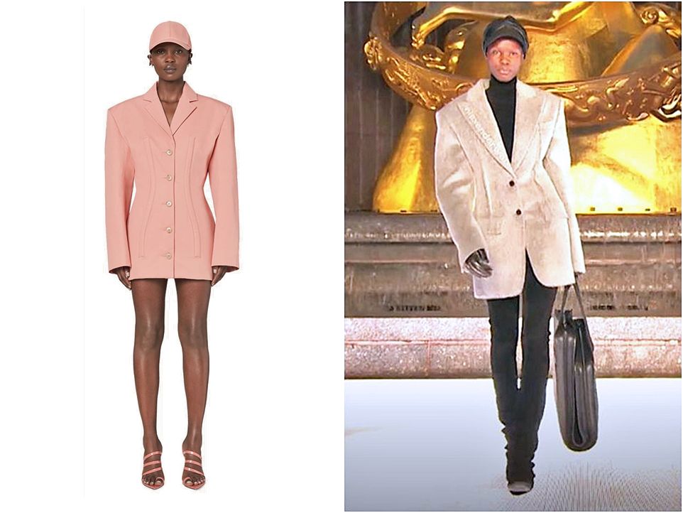 Fenty 2019 Vs A Wang 2020.jpg