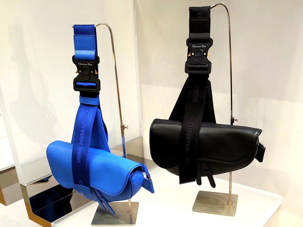 Dior Saddle Bag 2
