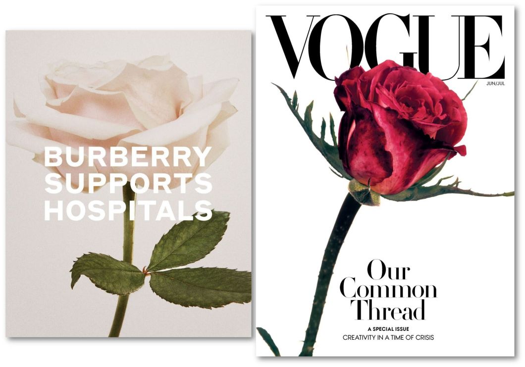 Burberry rose vs Vogue rose