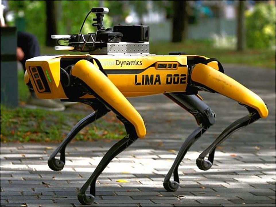 Robot dog Lima 002
